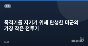 폭격기를 지키기 위해 탄생한 미군의 가장 작은 전투기