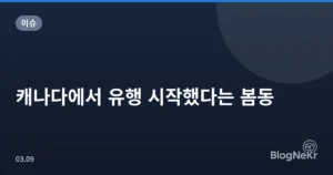 캐나다에서 유행 시작했다는 봄동