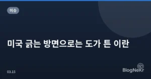 미국 긁는 방면으로는 도가 튼 이란