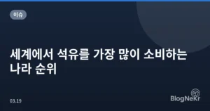 세계에서 석유를 가장 많이 소비하는 나라 순위
