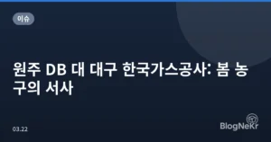 원주 DB 대 대구 한국가스공사: 봄 농구의 서사