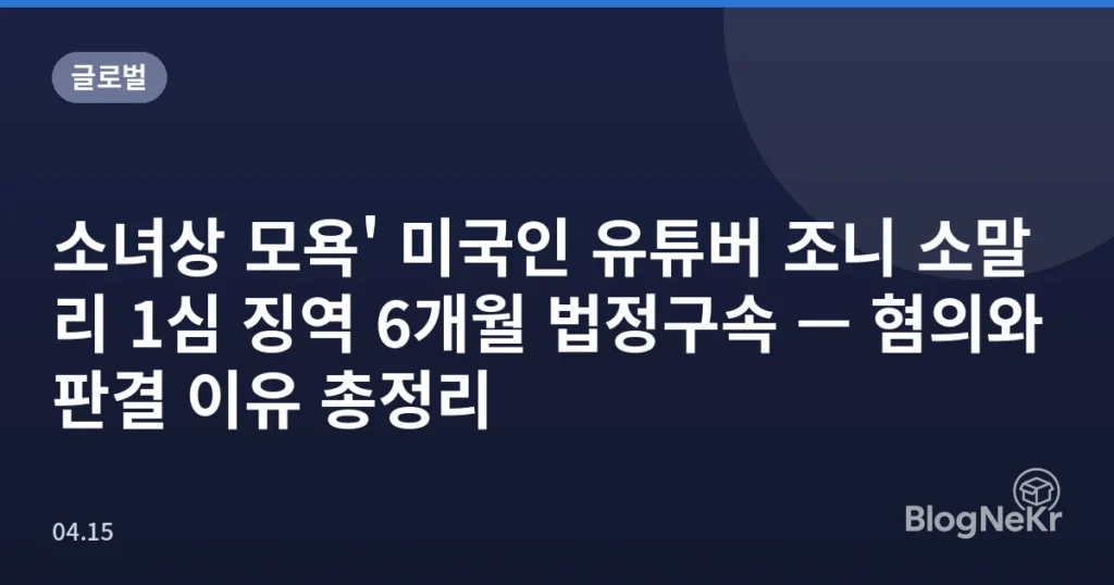 소녀상 모욕' 미국인 유튜버 조니 소말리 1심 징역 6개월 법정구속 — 혐의와 판결 이유 총정리