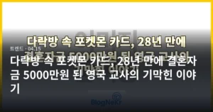 다락방 속 포켓몬 카드, 28년 만에 결혼자금 5000만원 된 영국 교사의 기막힌 이야기