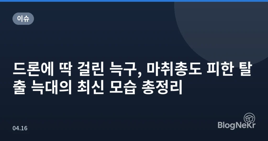 드론에 딱 걸린 늑구, 마취총도 피한 탈출 늑대의 최신 모습 총정리