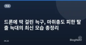 드론에 딱 걸린 늑구, 마취총도 피한 탈출 늑대의 최신 모습 총정리