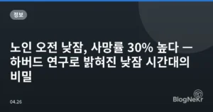 노인 오전 낮잠, 사망률 30% 높다 — 하버드 연구로 밝혀진 낮잠 시간대의 비밀