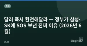 달러 즉시 환전해달라 — 정부가 삼성·SK에 SOS 보낸 진짜 이유 (2026년 6월)