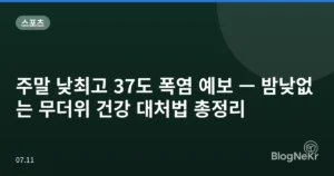 주말 낮최고 37도 폭염 예보 — 밤낮없는 무더위 건강 대처법 총정리