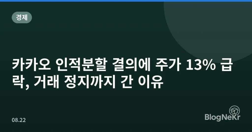 카카오 인적분할 결의에 주가 13% 급락, 거래 정지까지 간 이유