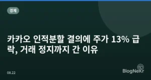 카카오 인적분할 결의에 주가 13% 급락, 거래 정지까지 간 이유