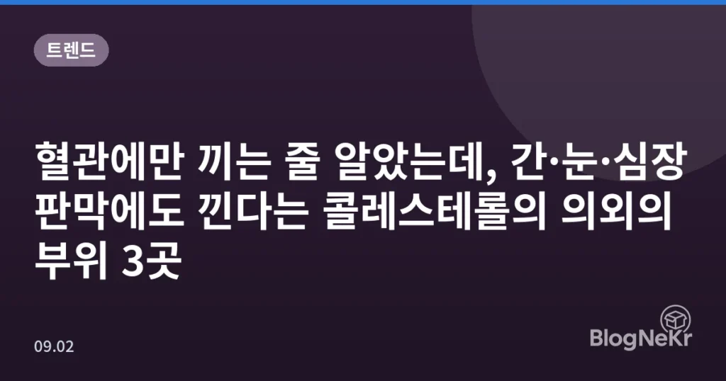 혈관에만 끼는 줄 알았는데, 간·눈·심장판막에도 낀다는 콜레스테롤의 의외의 부위 3곳