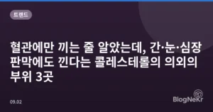 혈관에만 끼는 줄 알았는데, 간·눈·심장판막에도 낀다는 콜레스테롤의 의외의 부위 3곳