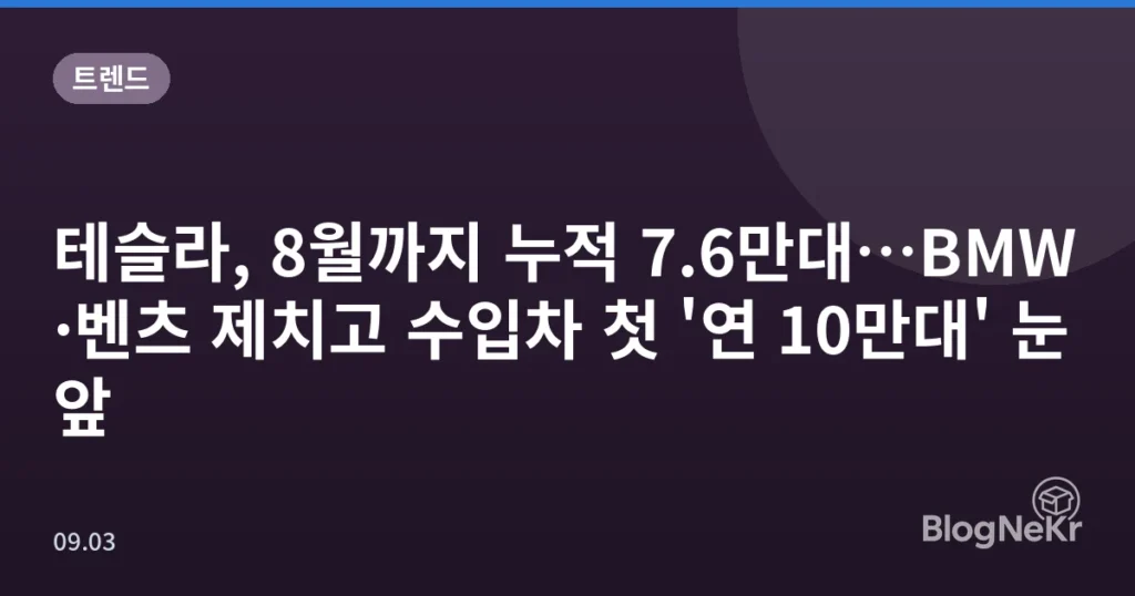 테슬라, 8월까지 누적 7.6만대…BMW·벤츠 제치고 수입차 첫 '연 10만대' 눈앞
