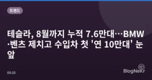 테슬라, 8월까지 누적 7.6만대…BMW·벤츠 제치고 수입차 첫 ‘연 10만대’ 눈앞