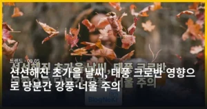 선선해진 초가을 날씨, 태풍 크로반 영향으로 당분간 강풍·너울 주의