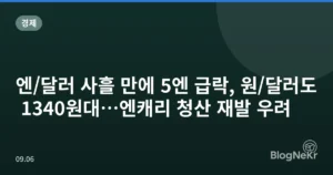 엔/달러 사흘 만에 5엔 급락, 원/달러도 1340원대…엔캐리 청산 재발 우려