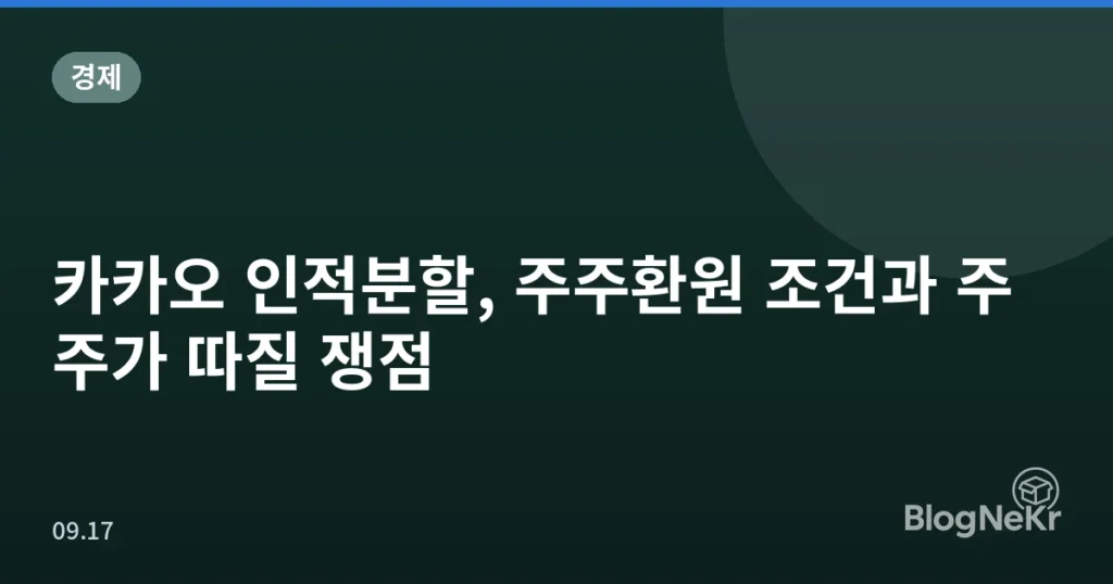 카카오 인적분할, 주주환원 조건과 주주가 따질 쟁점