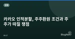 카카오 인적분할, 주주환원 조건과 주주가 따질 쟁점
