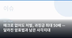 매크로 없어도 처벌, 과징금 최대 50배 — 달라진 암표법과 남은 사각지대