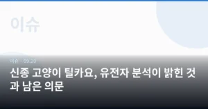 신종 고양이 틸카요, 유전자 분석이 밝힌 것과 남은 의문