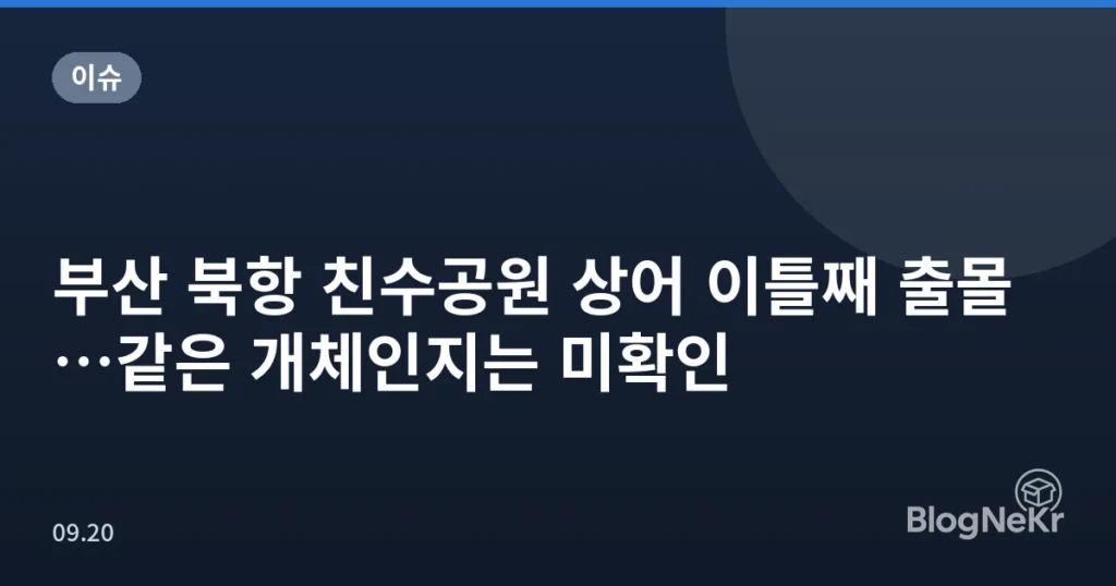 부산 북항 친수공원 상어 이틀째 출몰…같은 개체인지는 미확인