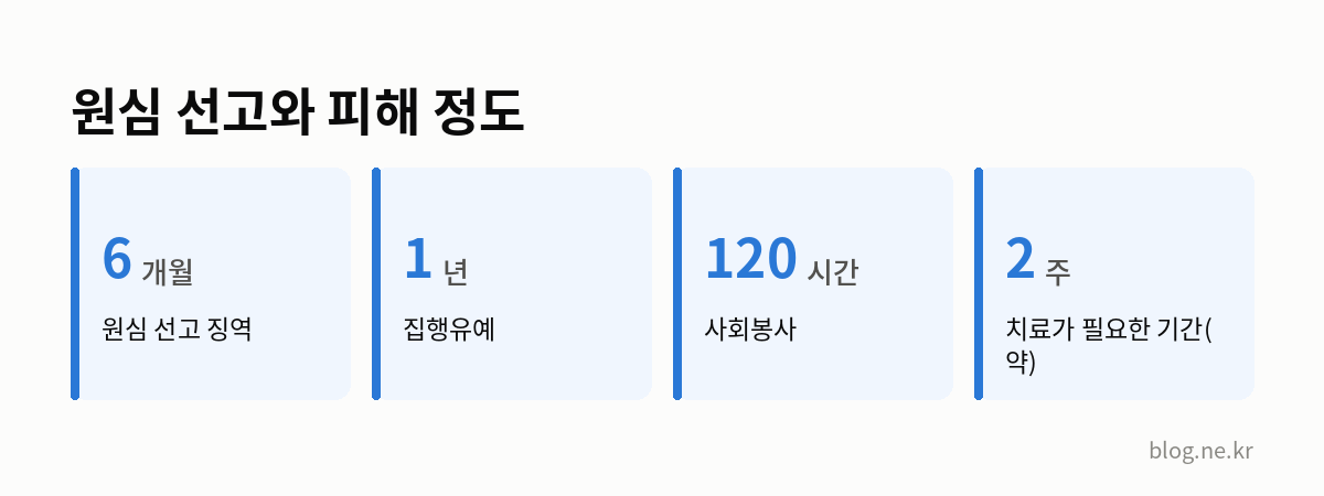 원심 선고와 피해 정도 인포그래픽