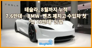 테슬라, 8월까지 누적 7.6만대…BMW·벤츠 제치고 수입차 첫 ‘연 10만대’ 눈앞