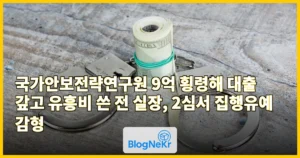 국가안보전략연구원 9억 횡령해 대출 갚고 유흥비 쓴 전 실장, 2심서 집행유예 감형