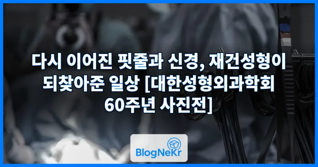 이것이 ‘성형’의 본질…다시 이어진 핏줄과 신경으로 일상이 돌아왔다 [건강한겨레] 관련 이미지