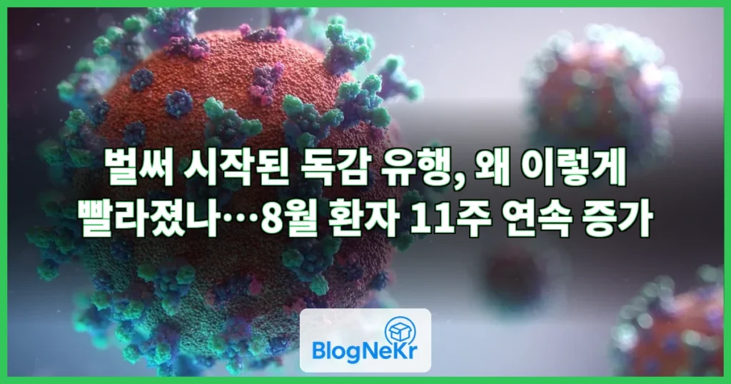 벌써 독감 유행 시작…왜 이렇게 빨라졌나? 관련 이미지
