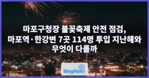 마포구청장 불꽃축제 안전 점검, 마포역·한강변 7곳 114명 투입 지난해와 무엇이 다를까