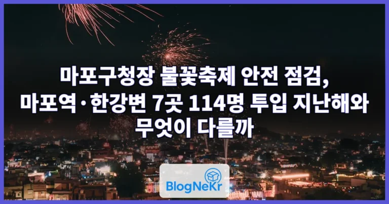 마포구청장 불꽃축제 안전 점검 관련 이미지