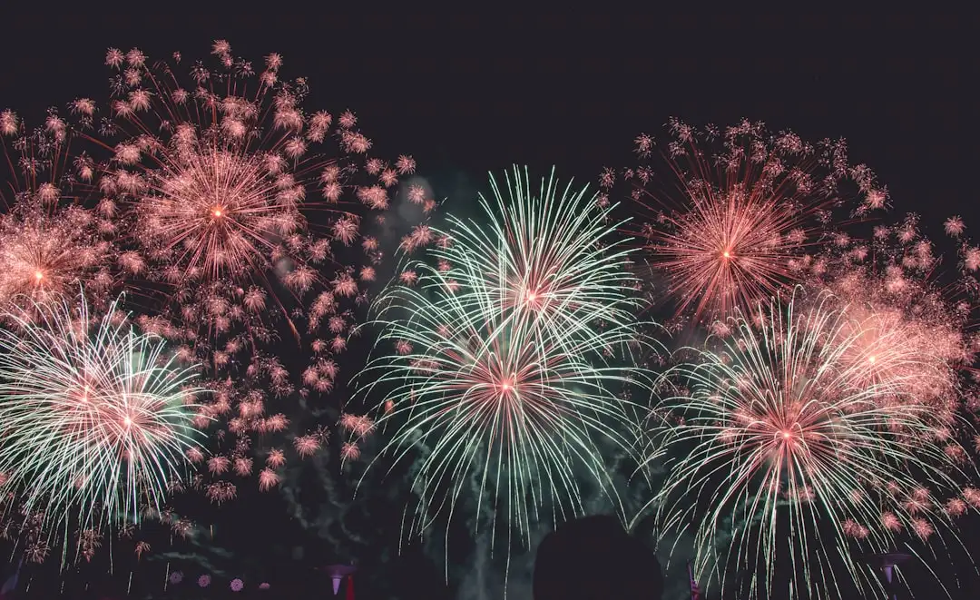 마포구청장 불꽃축제 안전 점검 관련 이미지