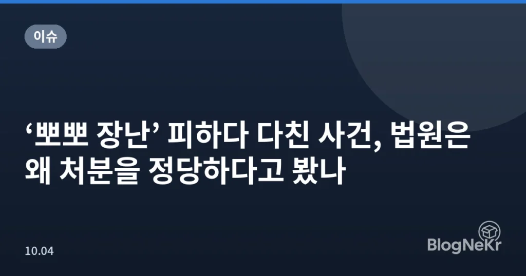 ‘뽀뽀 장난’ 피하다 다친 사건, 법원은 왜 처분을 정당하다고 봤나