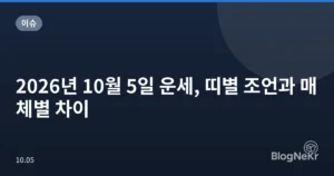 2026년 10월 5일 운세, 띠별 조언과 매체별 차이