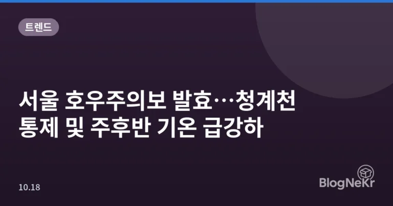 서울 호우주의보 발효…청계천 통제 및 주후반 기온 급강하