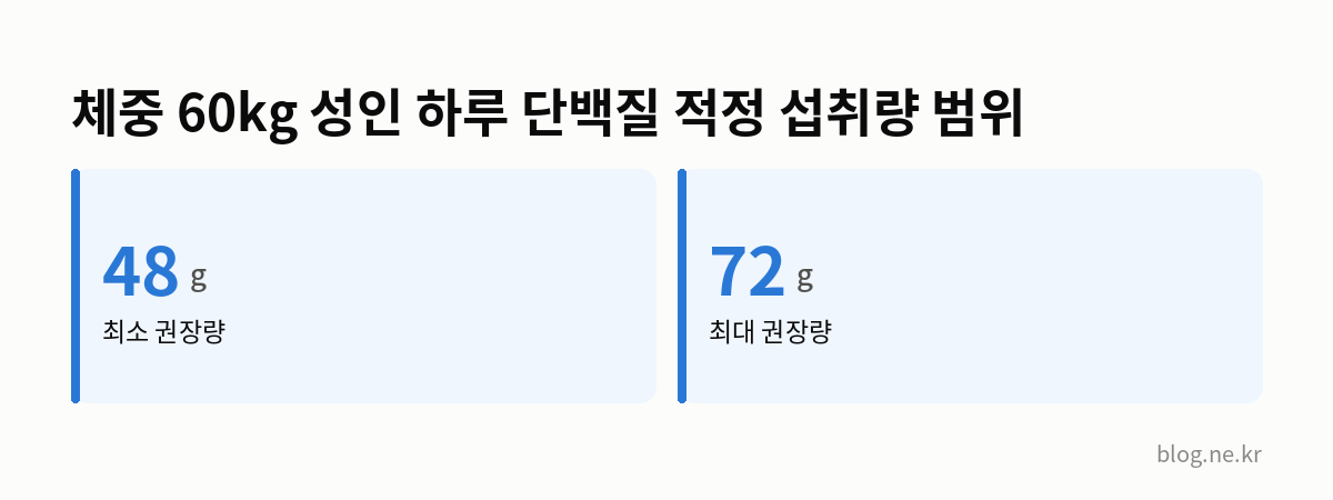 체중 60kg 성인 하루 단백질 적정 섭취량 범위 인포그래픽