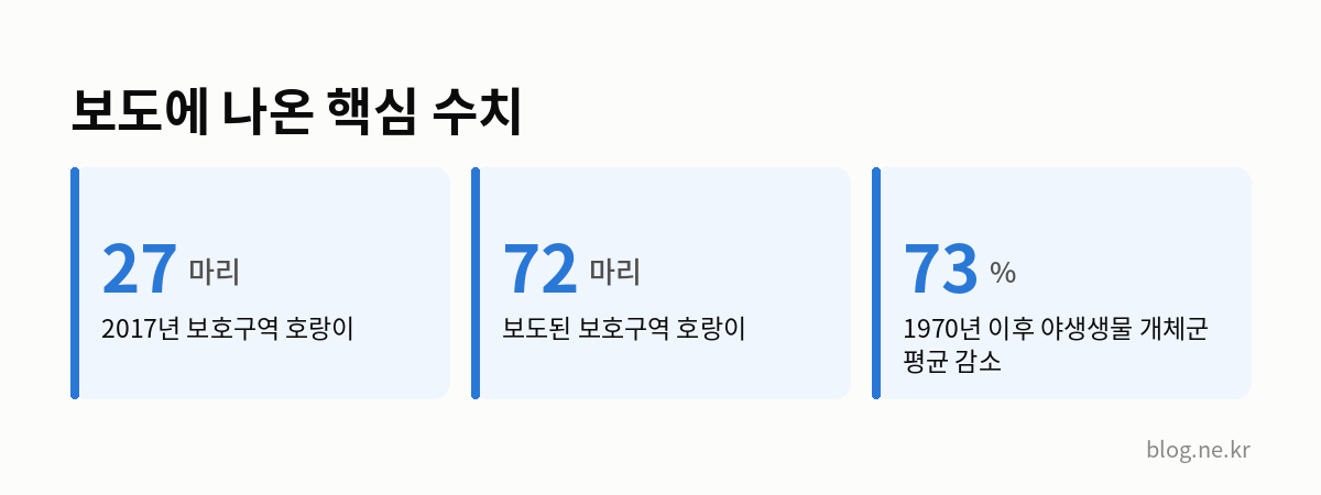 보도에 나온 핵심 수치 인포그래픽