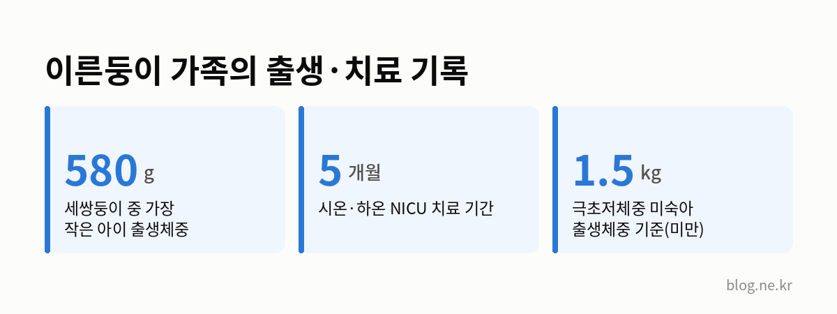 이른둥이 가족의 출생·치료 기록 인포그래픽