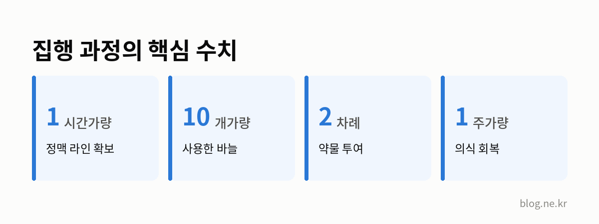 집행 과정의 핵심 수치 인포그래픽