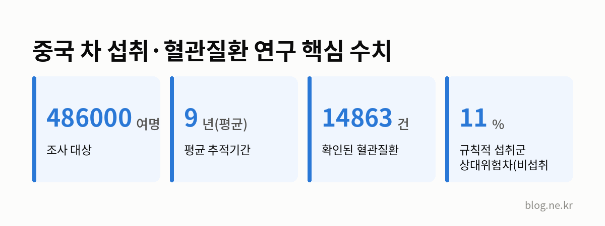 중국 차 섭취·혈관질환 연구 핵심 수치 인포그래픽