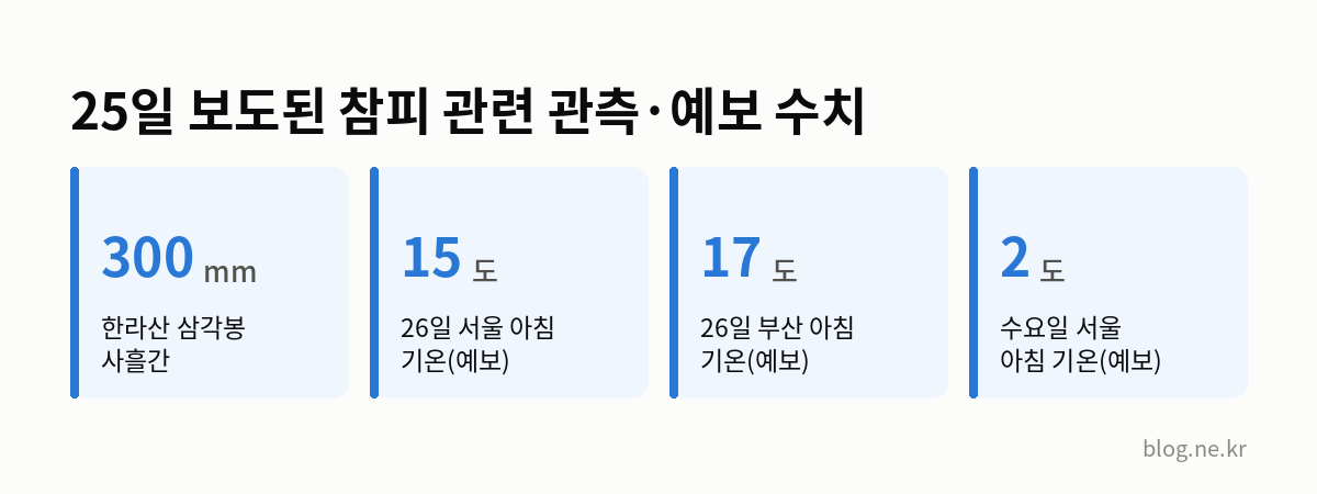 25일 보도된 참피 관련 관측·예보 수치 인포그래픽