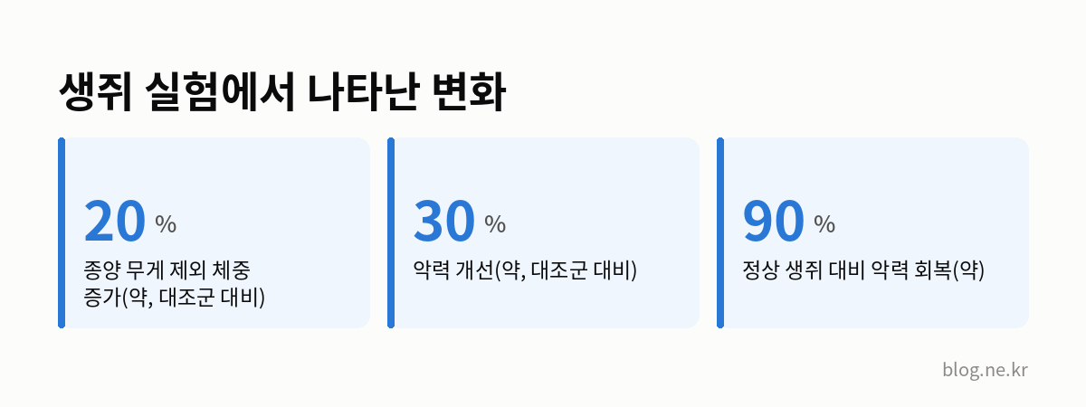 생쥐 실험에서 나타난 변화 인포그래픽