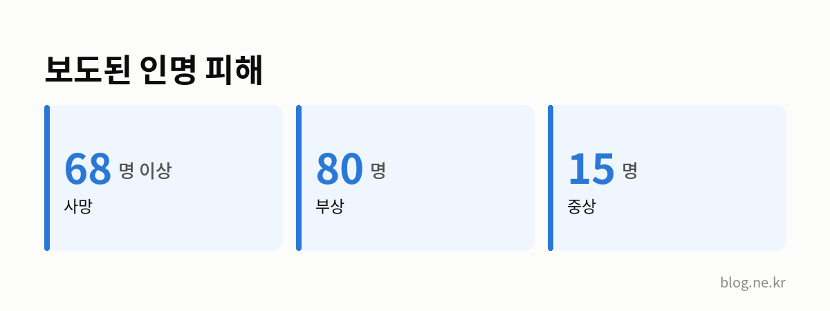 보도된 인명 피해 인포그래픽